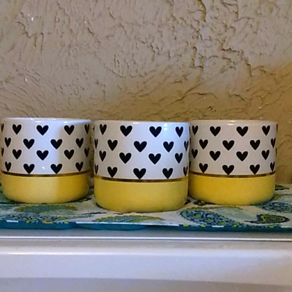 3 Cute Planter